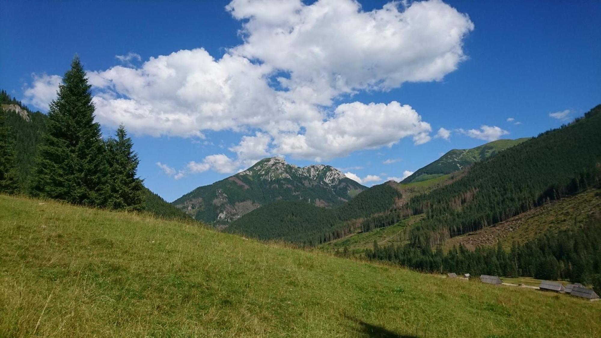 U Suchowiana Zakopane Exteriör bild